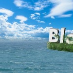 Best Ads Positions to Maximize your Blog Earnings